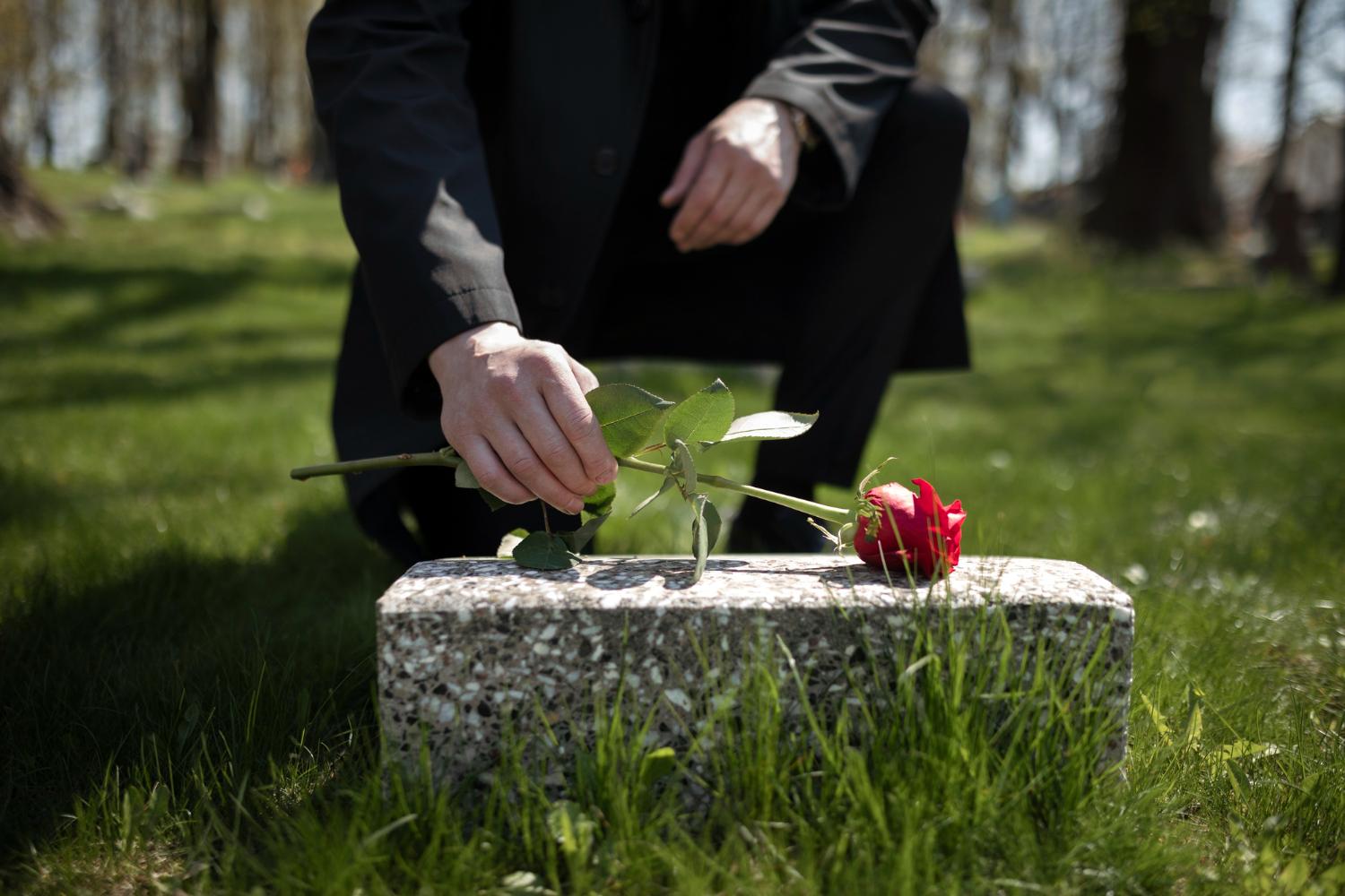 Eco-Friendly Memorial Ideas