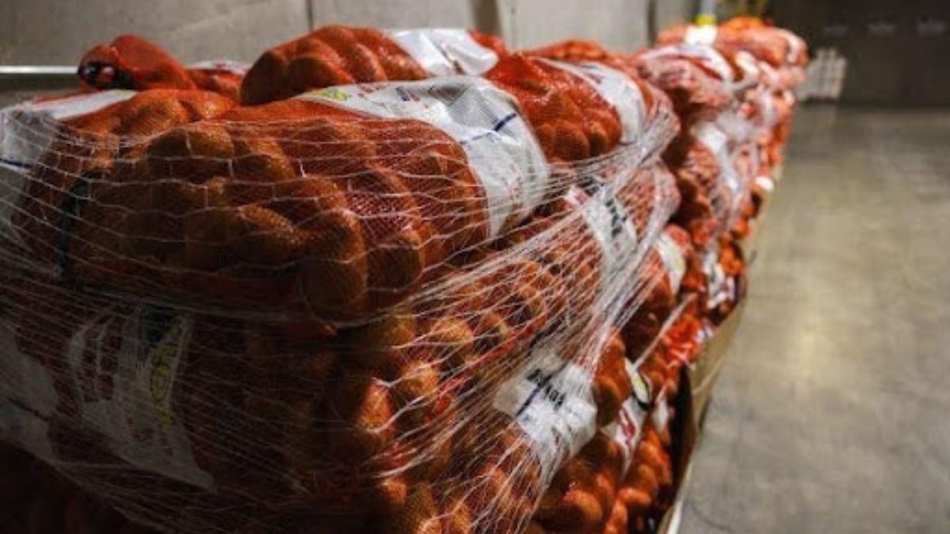 Potatoes Transported