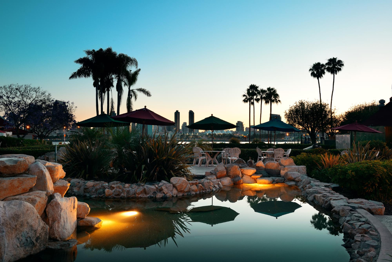 Stunning Oasis